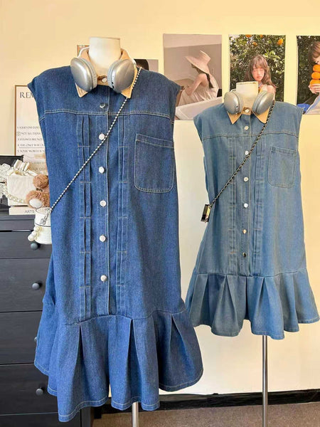 Frena Denim Dress