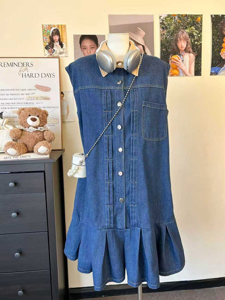 Frena Denim Dress