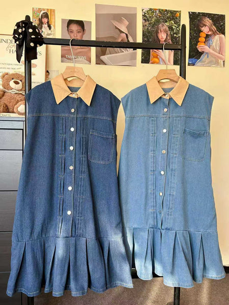 Frena Denim Dress