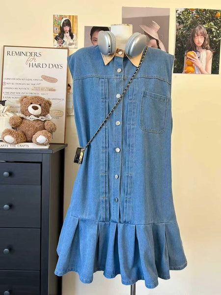 Frena Denim Dress