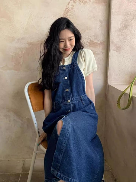 Mariz Denim Dress