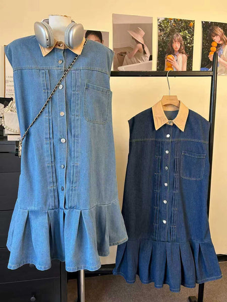 Frena Denim Dress