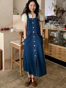 Mariz Denim Dress