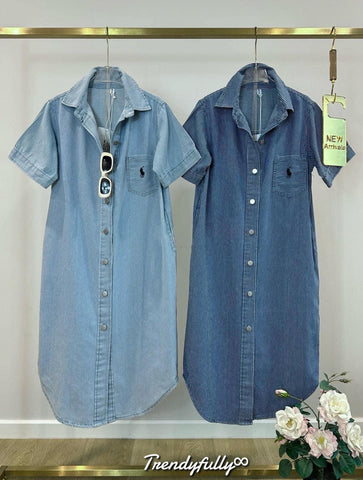 Claudia Denim Dress